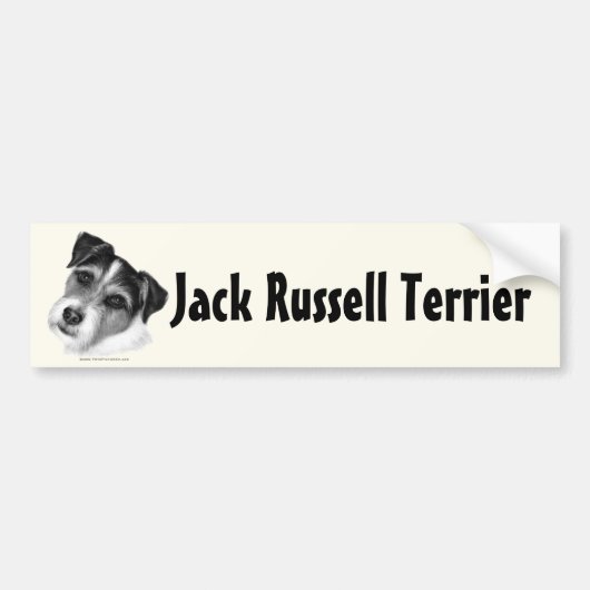 Russell-Terrier des Jack-(Pastor) Autoaufkleber (Vorne)