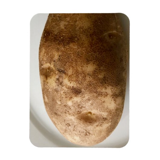 Russet Potato on White Plate Photo Magnet (Vertikal)