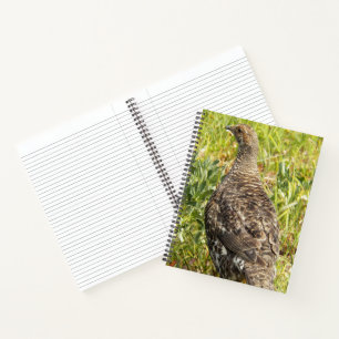 Rußhuhn-Wildtier-Foto Notizblock