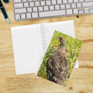 Rußhuhn-Wildtier-Foto Notizblock
