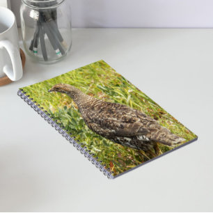 Rußhuhn-Wildtier-Foto Notizblock