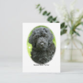 Russian Black Terrier Postkarte (Stehend Vorderseite)