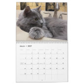 Russian Blue and Ginger Orange Tabby Cats 2025 Kalender (Mär 2027)