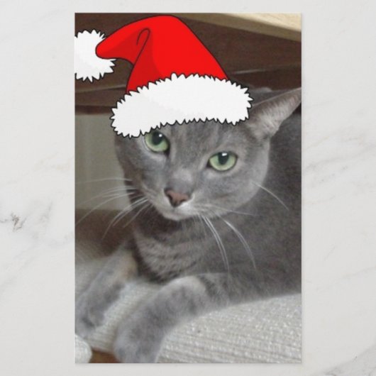 Russian Blue Cat Christmas Briefpapier (Vorderseite)
