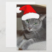 Russian Blue Cat Christmas Briefpapier (Vorne/Hinten)