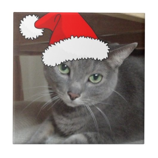 Russian Blue Cat Christmas Fliese (Vorderseite)