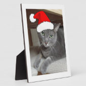 Russian Blue Cat Christmas Fotoplatte (Seite)