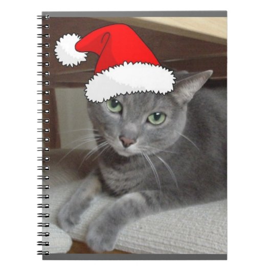 Russian Blue Cat Christmas Notizblock (Vorderseite)