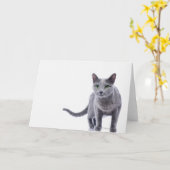 Russian Blue Cat Karte (Gelbe Blume)