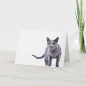 Russian Blue Cat Karte (Vorderseite)