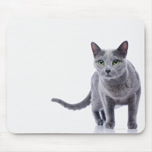 Russian Blue Cat Mousepad (Vorne)