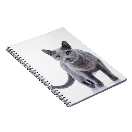 Russian Blue Cat Notizblock (Rechte Seite)