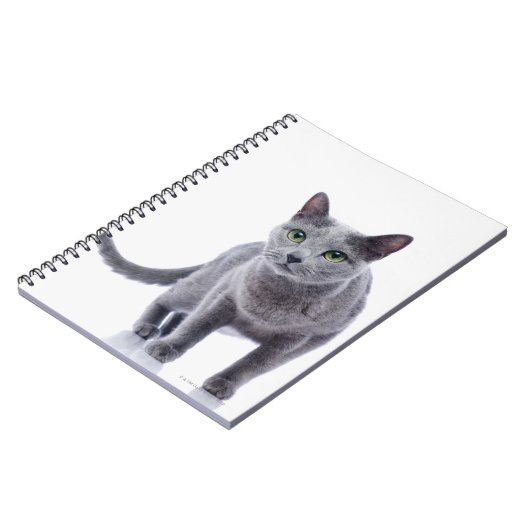 Russian Blue Cat Notizblock (Linke Seite)