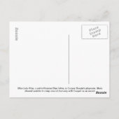 Russian Blue Cat on Grass - Postcard Lola Kitty Postkarte (Rückseite)