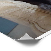 Russian Blue Cat Poster (Ecke)