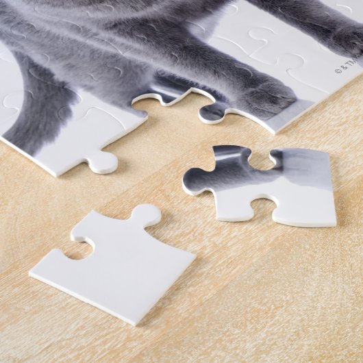 Russian Blue Cat Puzzle (Seite)