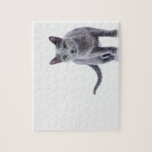 Russian Blue Cat Puzzle (Vertikal)