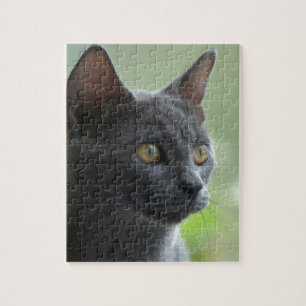 Russian Blue Cat Puzzle