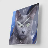 Russian Blue ‎ Cat Quadratische Wanduhr (Winkel)