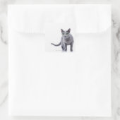 Russian Blue Cat Quadratischer Aufkleber (Tasche)
