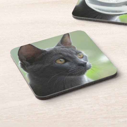 Russian Blue Cat Untersetzer (Linke Seite)