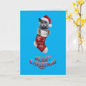 Russian Blue Christmas Strumpf Karte (Gelbe Blume)
