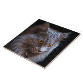 Russian Blue Gray Nebelung Cat Wall Art Fliese (Seite)