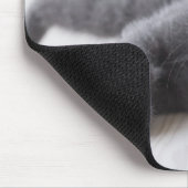 Russian Blue Kitten Mousepad (Ecke)