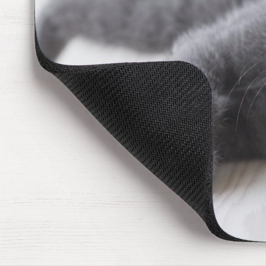 Russian Blue Kitten Mousepad (Ecke)