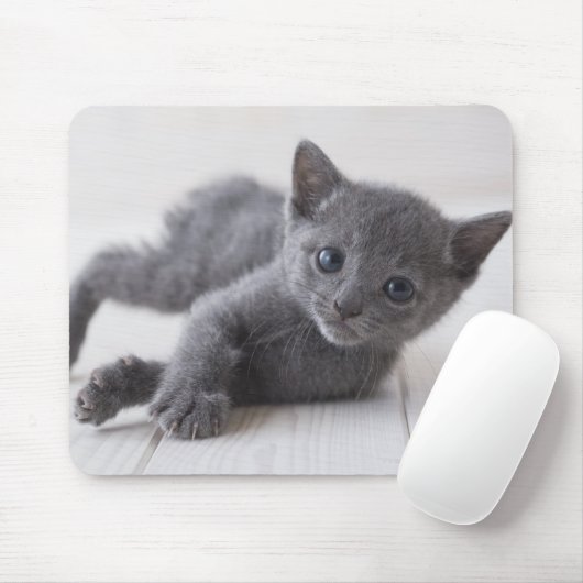 Russian Blue Kitten Mousepad (Mit Mouse)