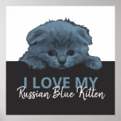 Russian Blue Kitten Poster (Vorne)