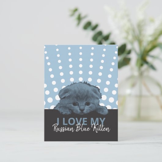 Russian Blue Kitten Postkarte (Stehend Vorderseite)