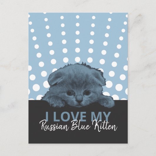 Russian Blue Kitten Postkarte (Vorderseite)