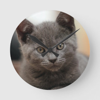 Russian Blue Kitten Runde Wanduhr