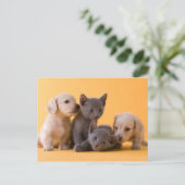 Russian Blue Kittens & Dackel Welpen Postkarte (Stehend Vorderseite)