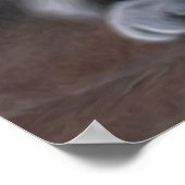 Russian Blue Poster (Ecke)