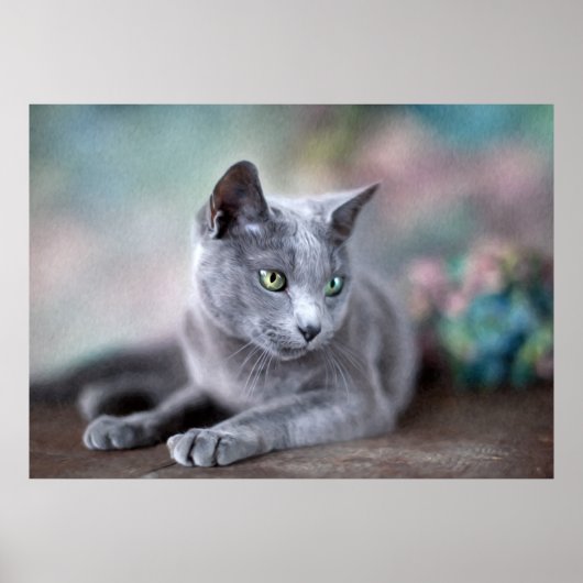 Russian Blue Poster (Vorne)