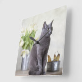 Russian Blue Quadratische Wanduhr (Winkel)