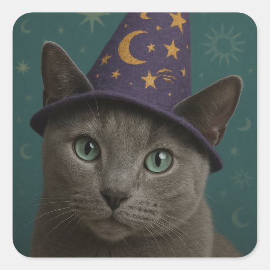 Russian Blue Wizard Quadratischer Aufkleber (Vorderseite)