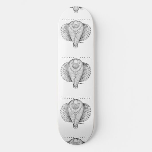 Russian Tumbler Top View Skateboard (Vorderseite)