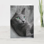 Russisch-blaue Katze mit grünen Augen Karte (Vorderseite)