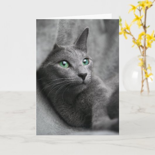 Russisch-blaue Katze mit grünen Augen Karte (Gelbe Blume)