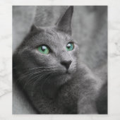 Russisch-blaue Katze mit grünen Augen Weinetikett (Einzelnes Label)