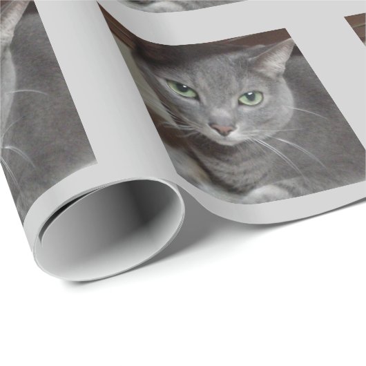 Russisch-graue Katze Geschenkpapier (Rolleneckpunkt)
