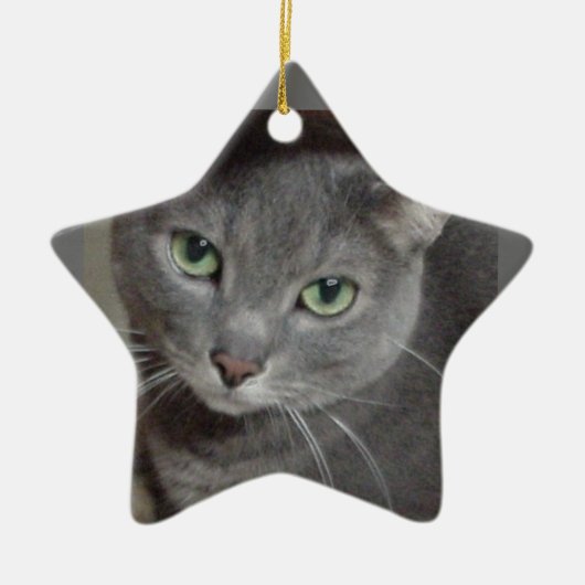 Russisch-graue Katze Keramikornament (Vorne)