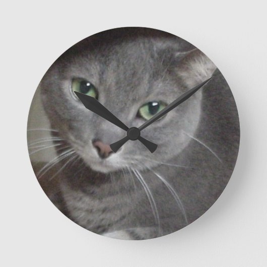 Russisch-graue Katze Runde Wanduhr (Vorderseite)