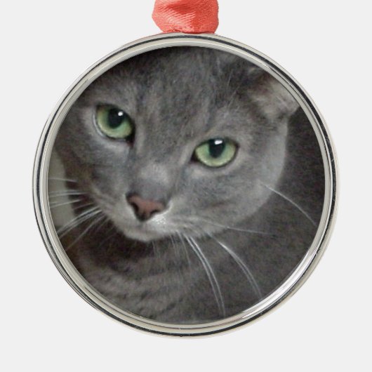 Russisch-graue Katze Silbernes Ornament (Vorne)