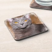 RUSSISCHE BLAUE CAT-UNTERSETZER GETRÄNKEUNTERSETZER (Linke Seite)