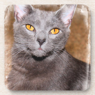 RUSSISCHE BLAUE CAT-UNTERSETZER GETRÄNKEUNTERSETZER