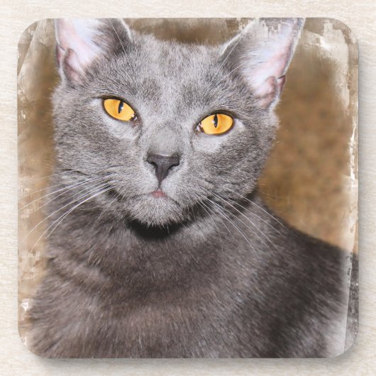 RUSSISCHE BLAUE CAT-UNTERSETZER GETRÄNKEUNTERSETZER (Vorderseite)